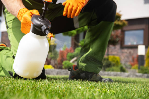 Pest Prevention Services in Summit, NJ