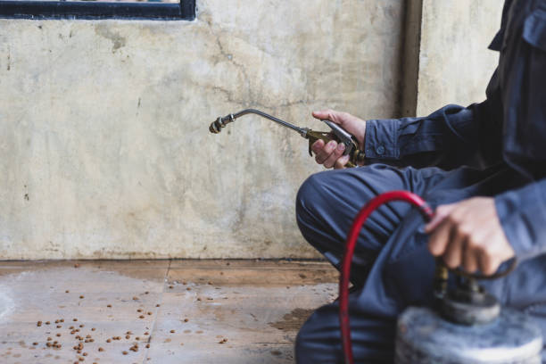 Best Exterminator Services  in Summit, NJ